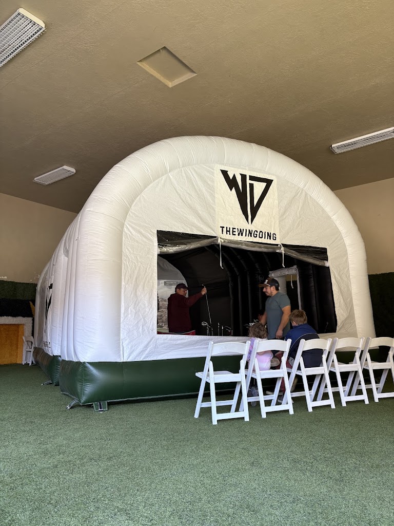 The Wingding - featured