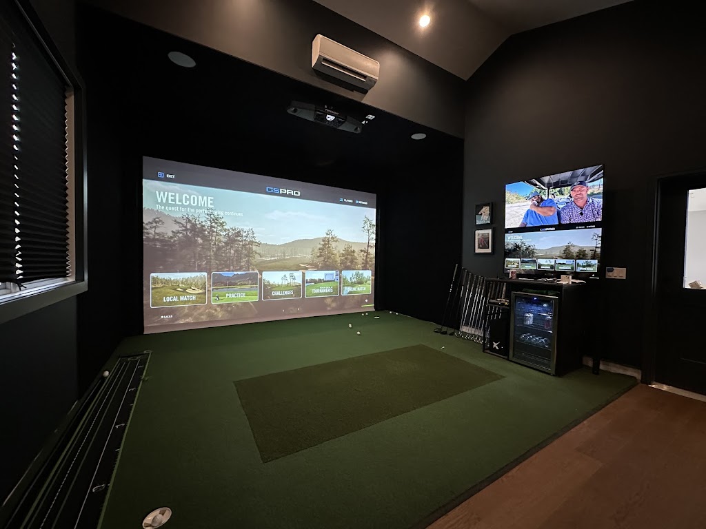 Ace Indoor Golf - review