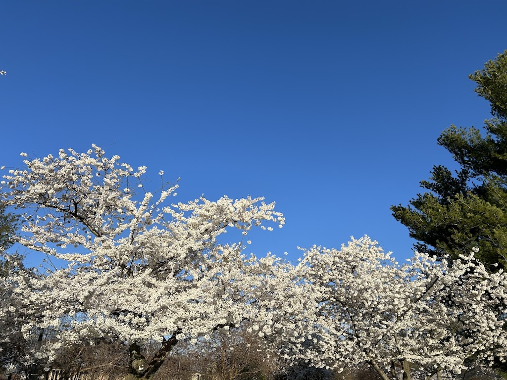 East Potomac Golf Links - review