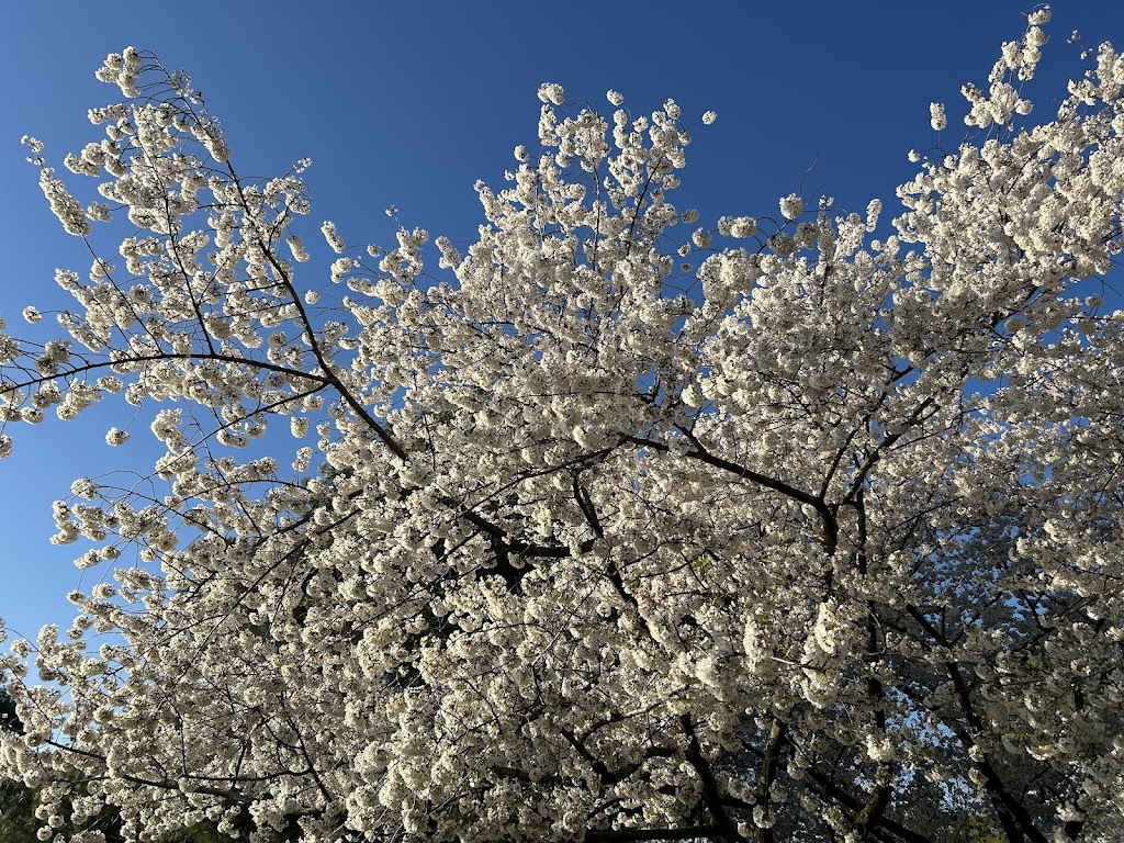 East Potomac Golf Links - review