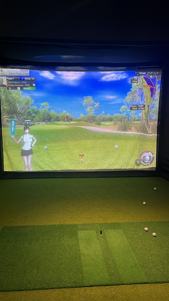 TARGET Indoor Golf - review