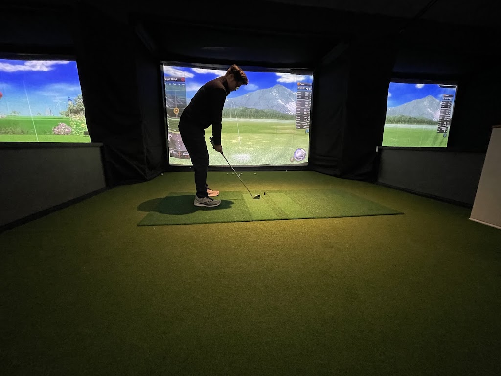 TARGET Indoor Golf - review