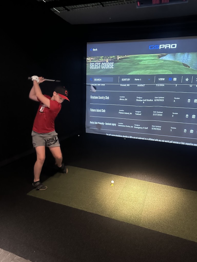 Willmar Indoor Golf - review