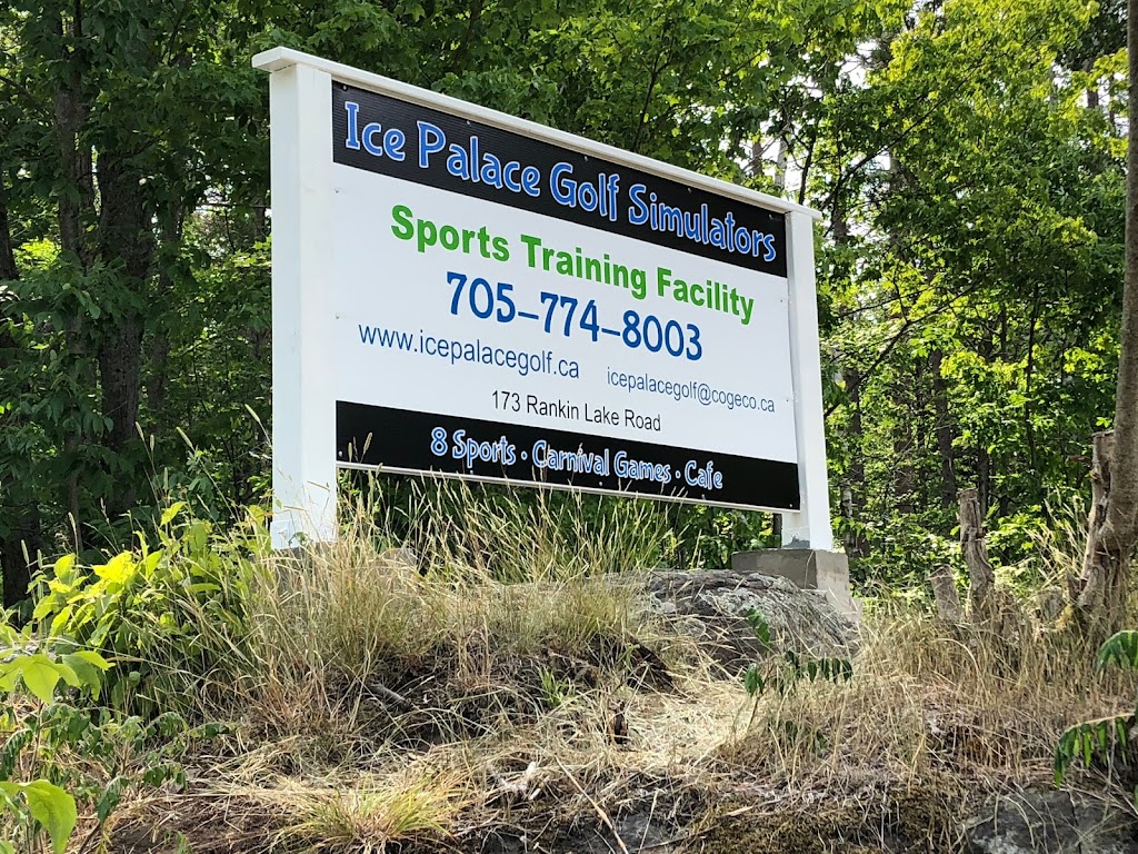 Ice Palace Golf Simulator - featured