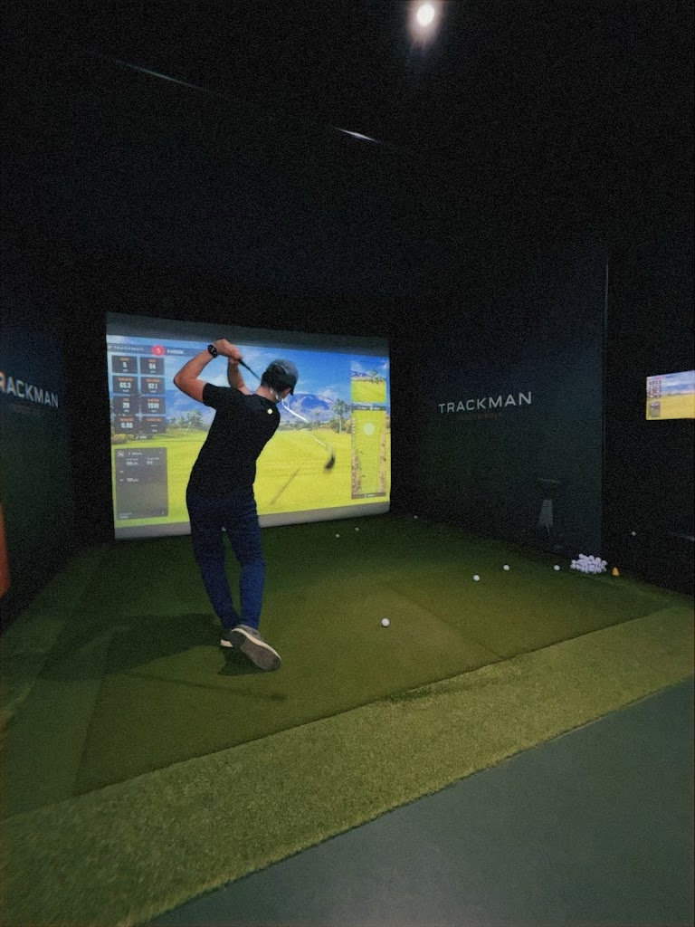 Virtual Greens Golf Club - review