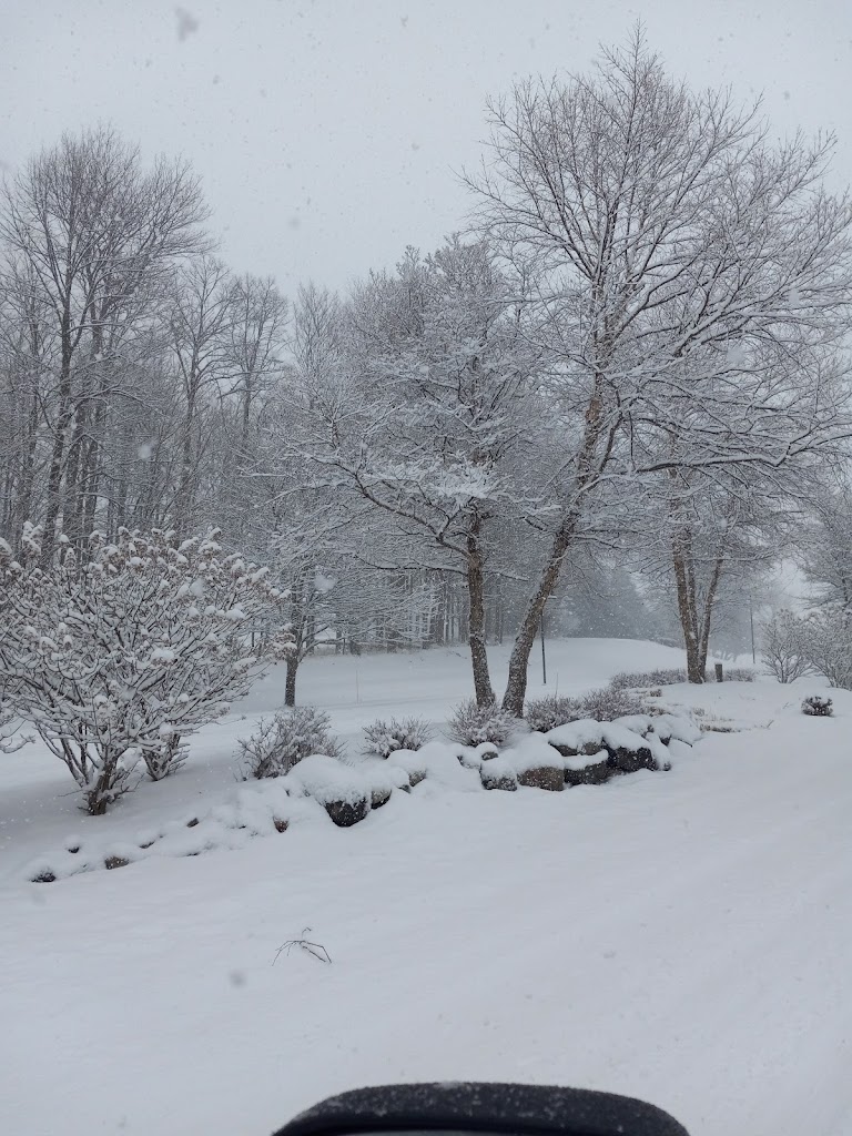 Grand Traverse Golf Academy - review