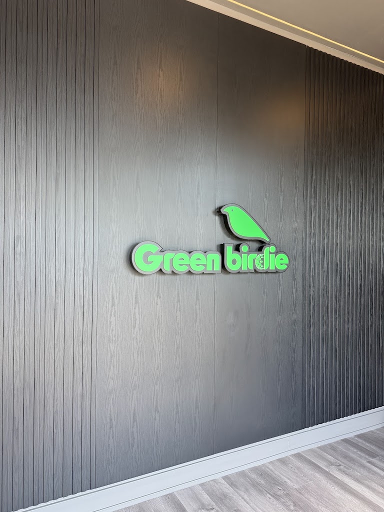 Green Birdie Golf - review