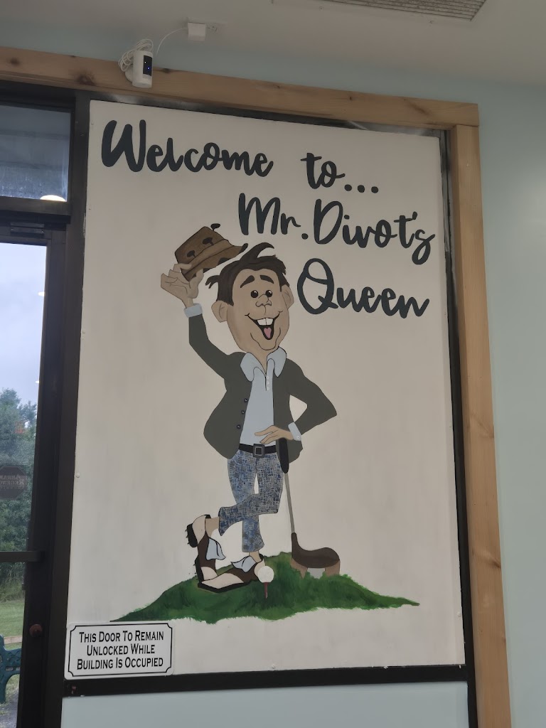 Mr Divot's Driving Range - review