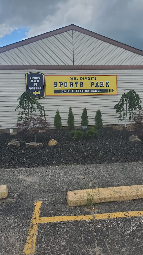 Mr Divot's Driving Range - review