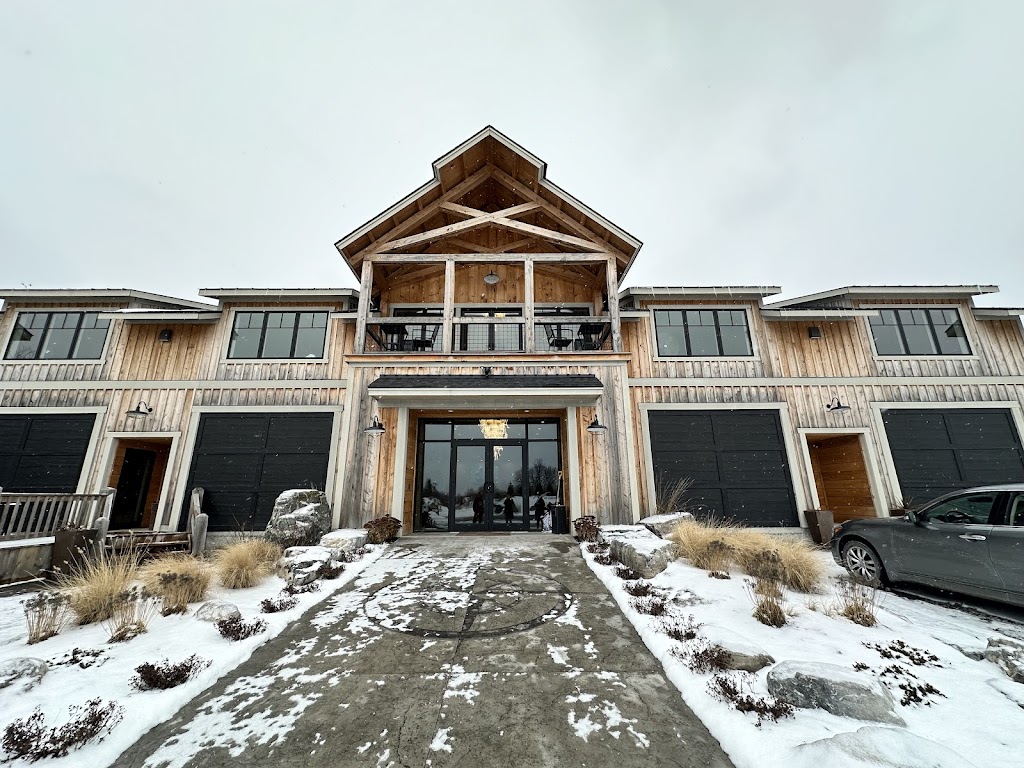 The Albatross Club - featured