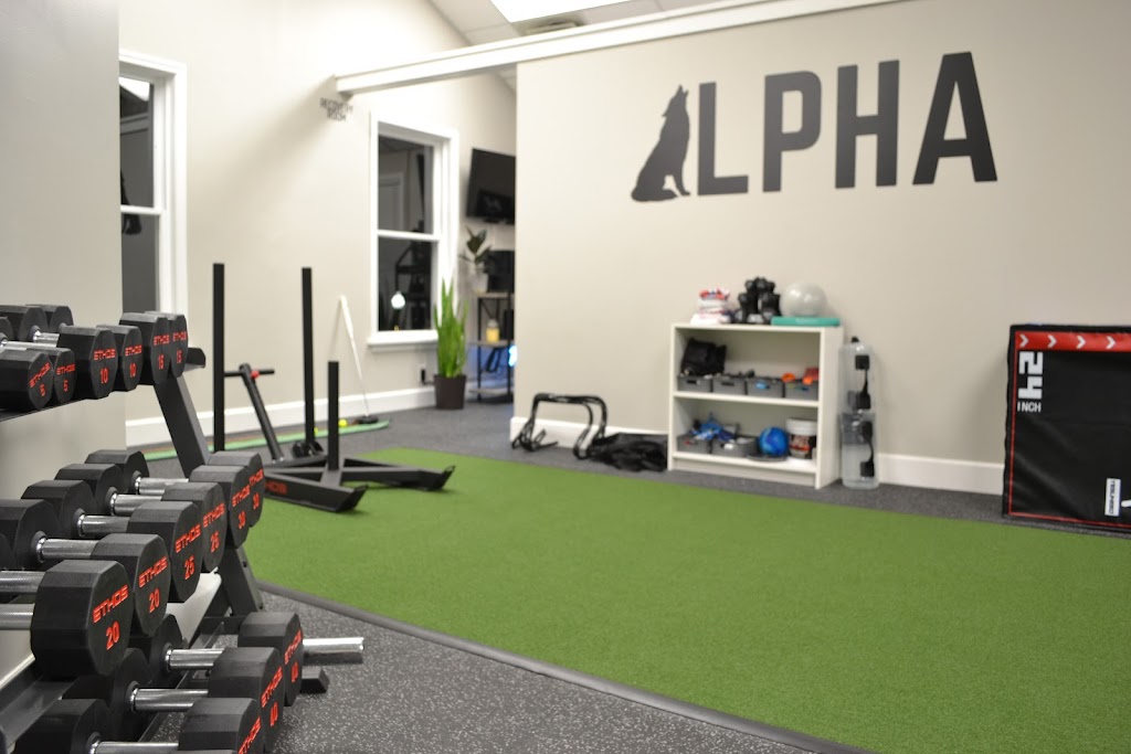 Alpha Performance Center - featured