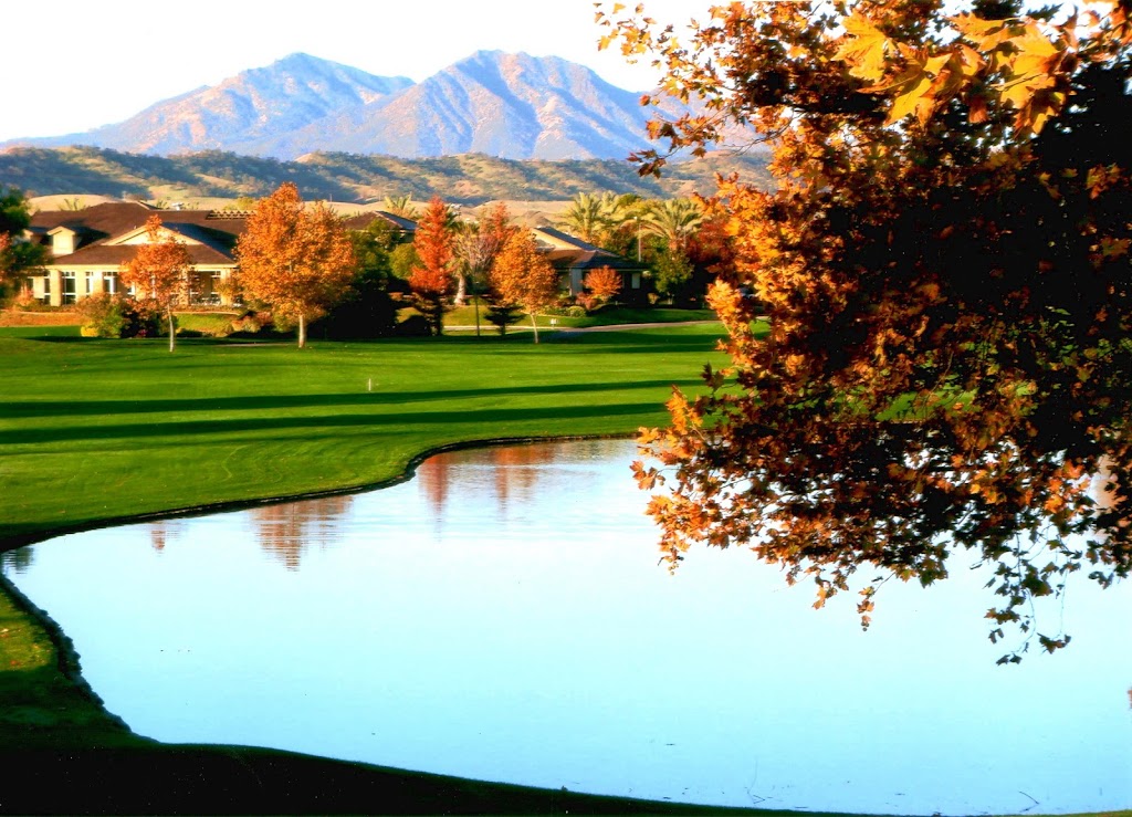 Palm Tree Golf and Event Center - featured