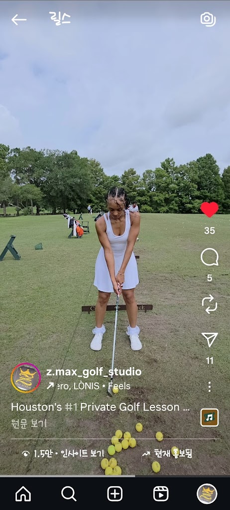 Z. Max Golf Studio - gallery