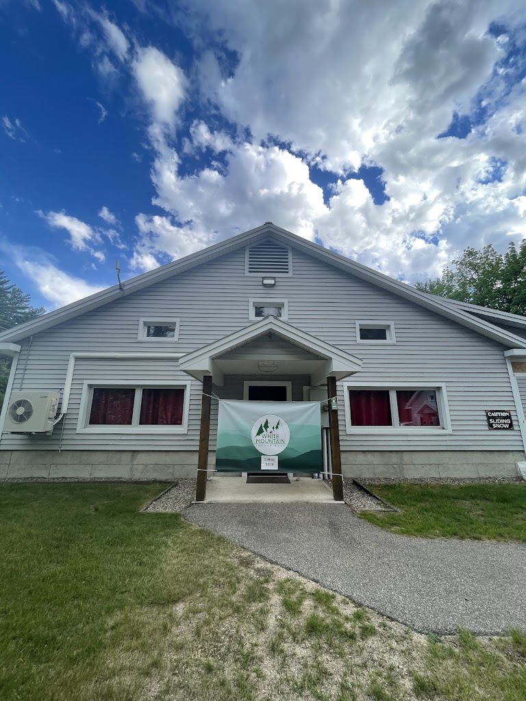 White Mountain Indoor Golf - gallery