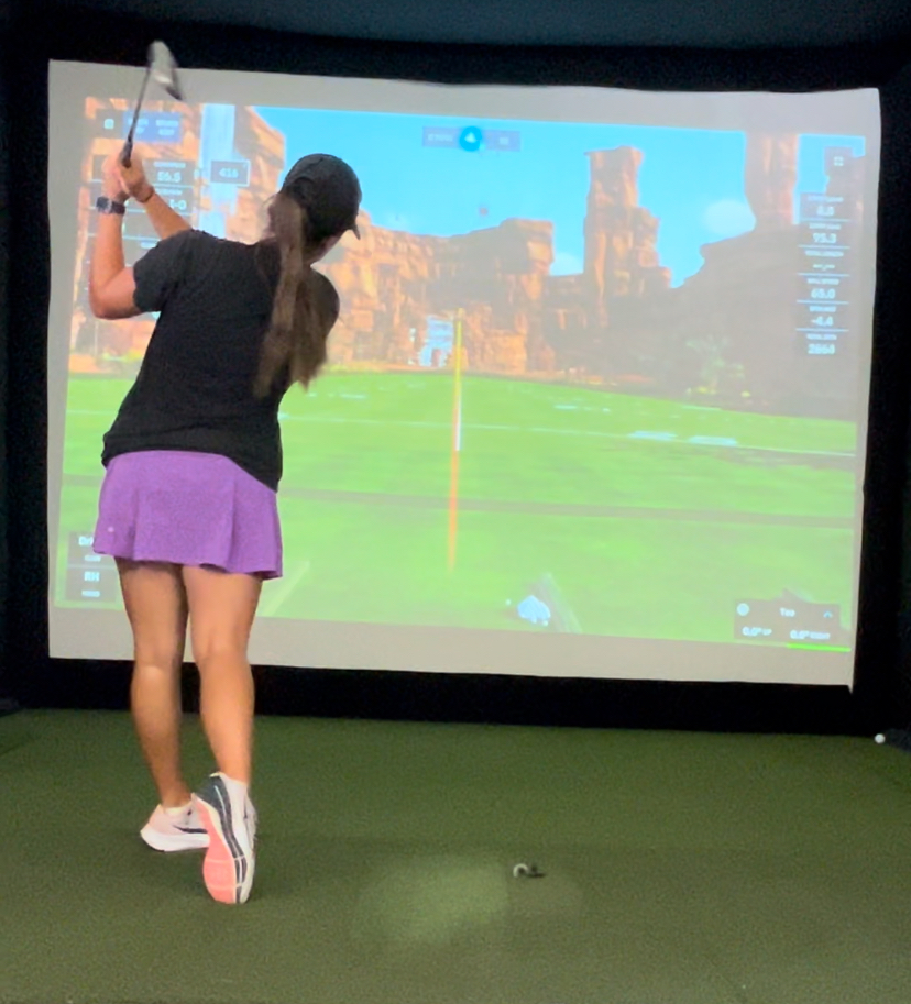 Albatross Indoor Golf - gallery