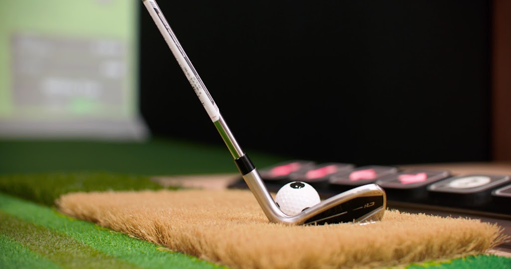 Golf VX Duluth - gallery