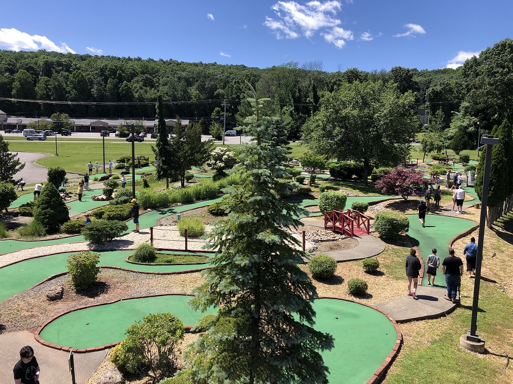 The Golf Zone Club Fitting - gallery