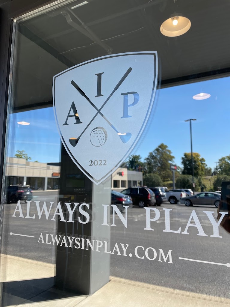 Always In Play - gallery