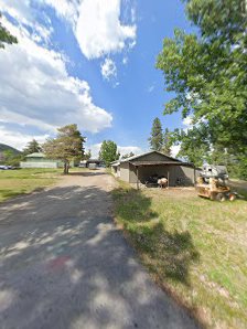 Golf Masters - gallery