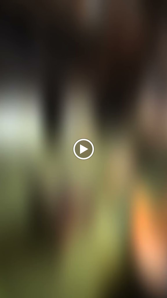 The Sports Barn Missoula, MT USA - gallery