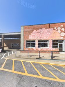 Streaking Birdies - gallery