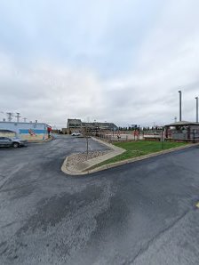 King Louie Indoor Golf - gallery