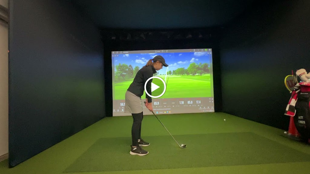 The Back Nine Golf | Franklin, TN - gallery