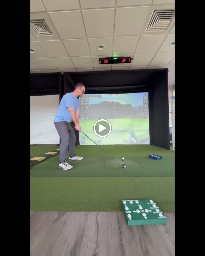 Birdies... Where Are You - gallery