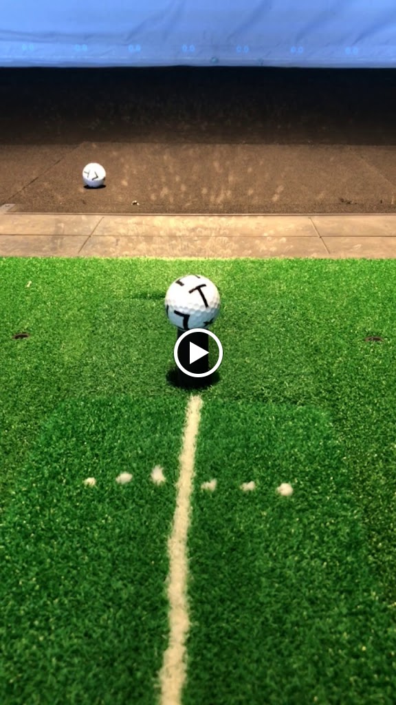 X-Golf Ann Arbor - gallery