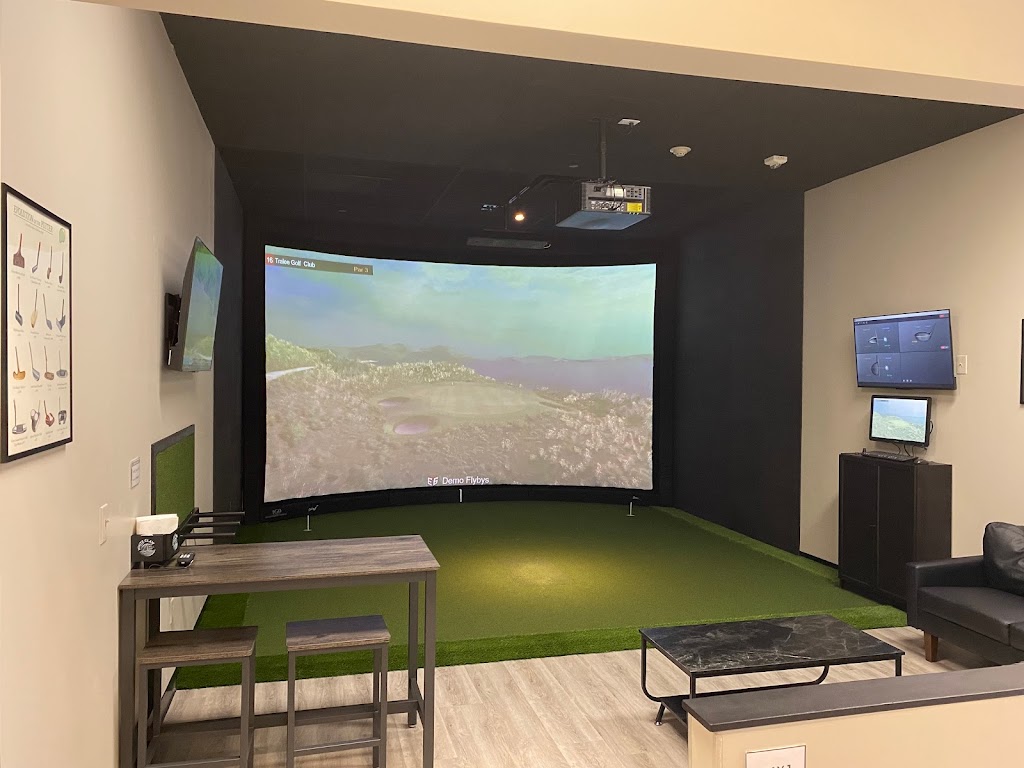 iSwing Indoor Golf - gallery