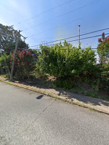 Neighborhood National No. 4 - gallery