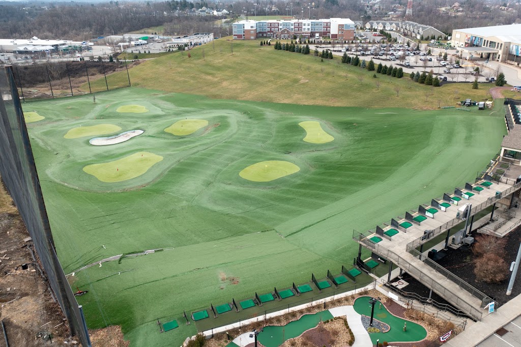 Cool Springs Golf - gallery