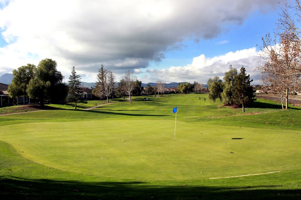 Palm Tree Golf and Event Center - gallery