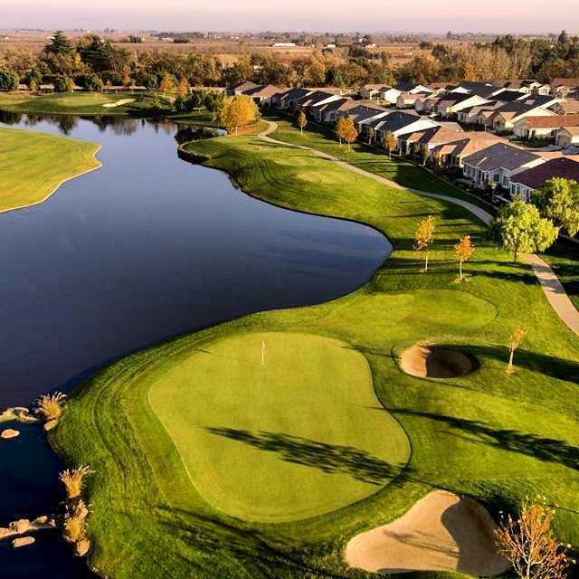 Palm Tree Golf and Event Center - gallery