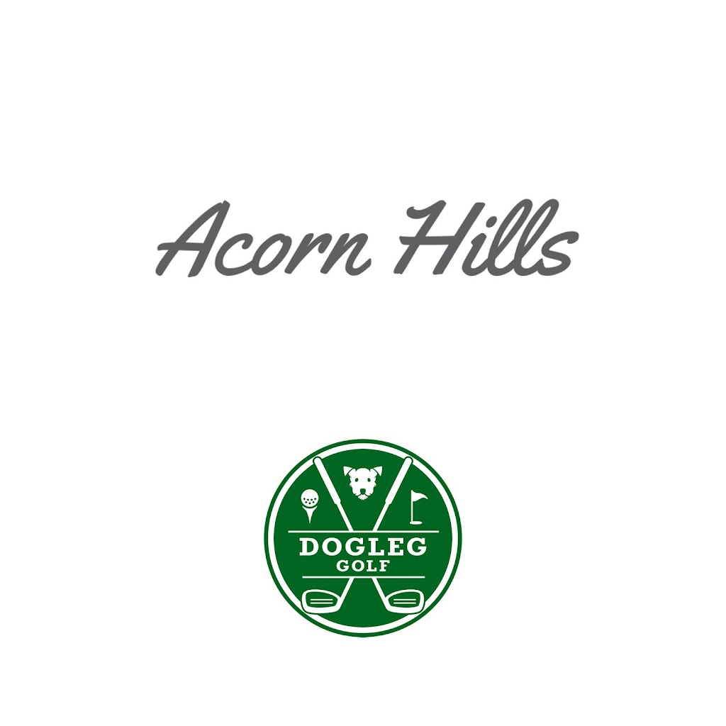 Dogleg Golf - review