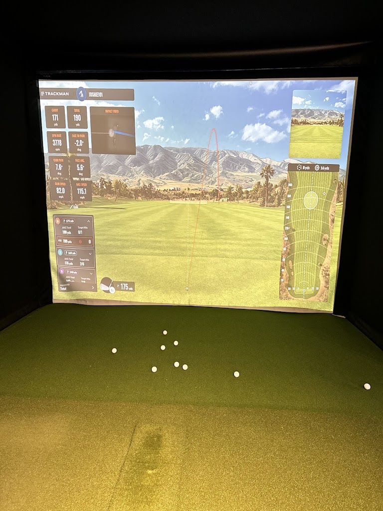 SimuLinks Golf - review