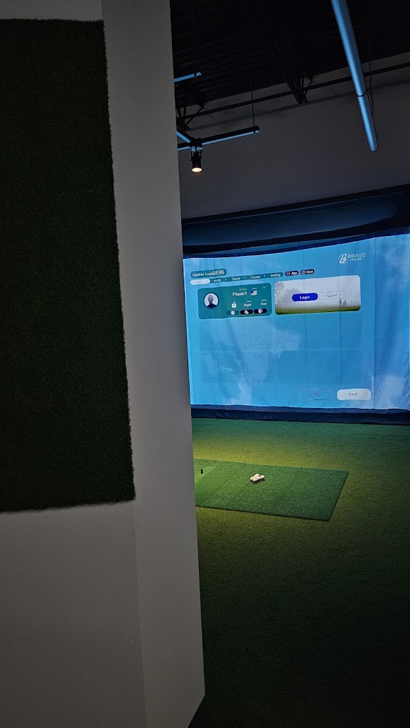 TARGET Indoor Golf - review