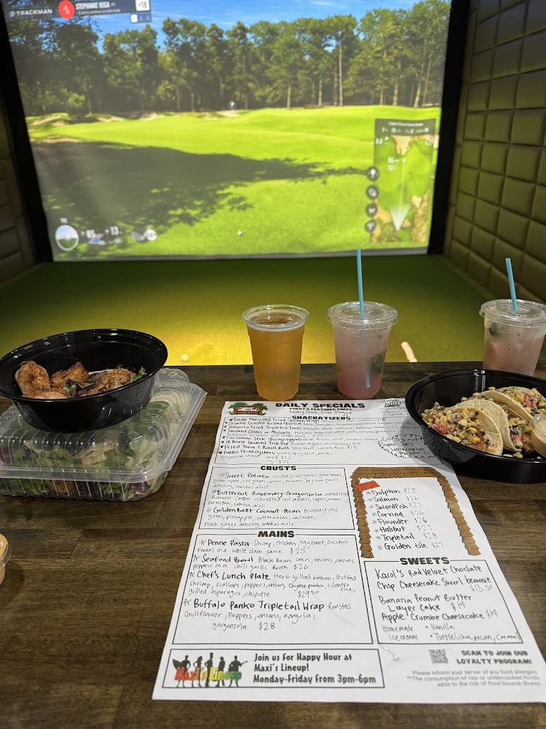 Indoor Birdies - review