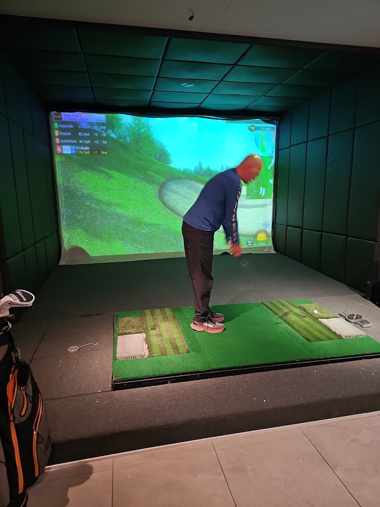 Eagle 5 Golf - Indoor Golf - review
