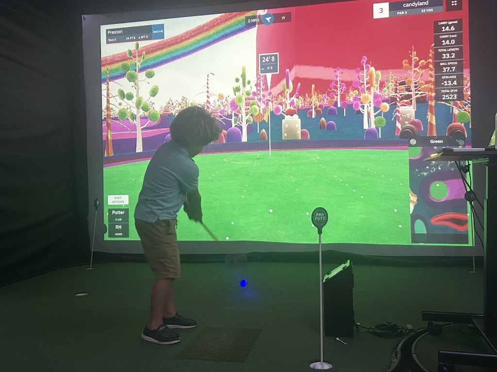 Pin-Seekers Indoor Golf Simulator - review