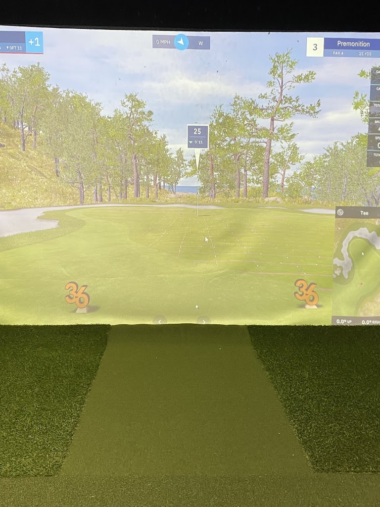 ScorZone Golf Center & Lounge - review