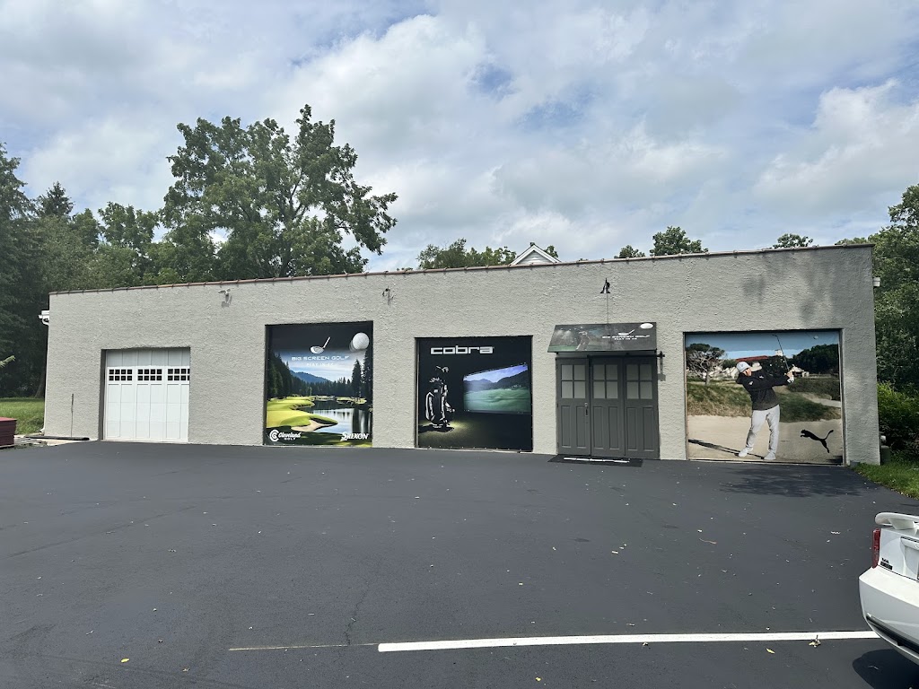 Big Screen Golf - review