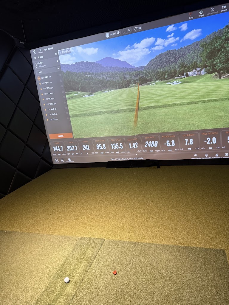 Swing Theory Indoor Golf - review