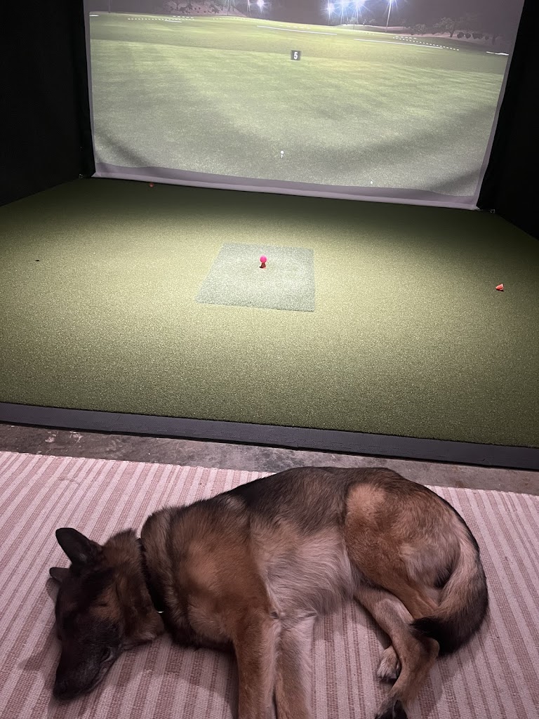 Almost Golf WV - review