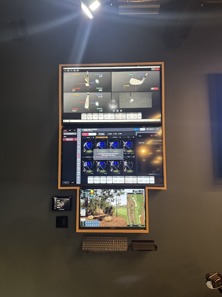 Ace Golf Club - review