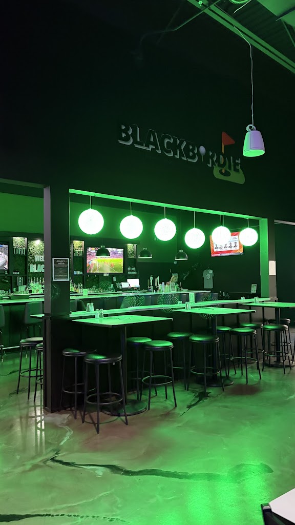 Blackbirdie Indoor Golf Sport Bar & Grill - review
