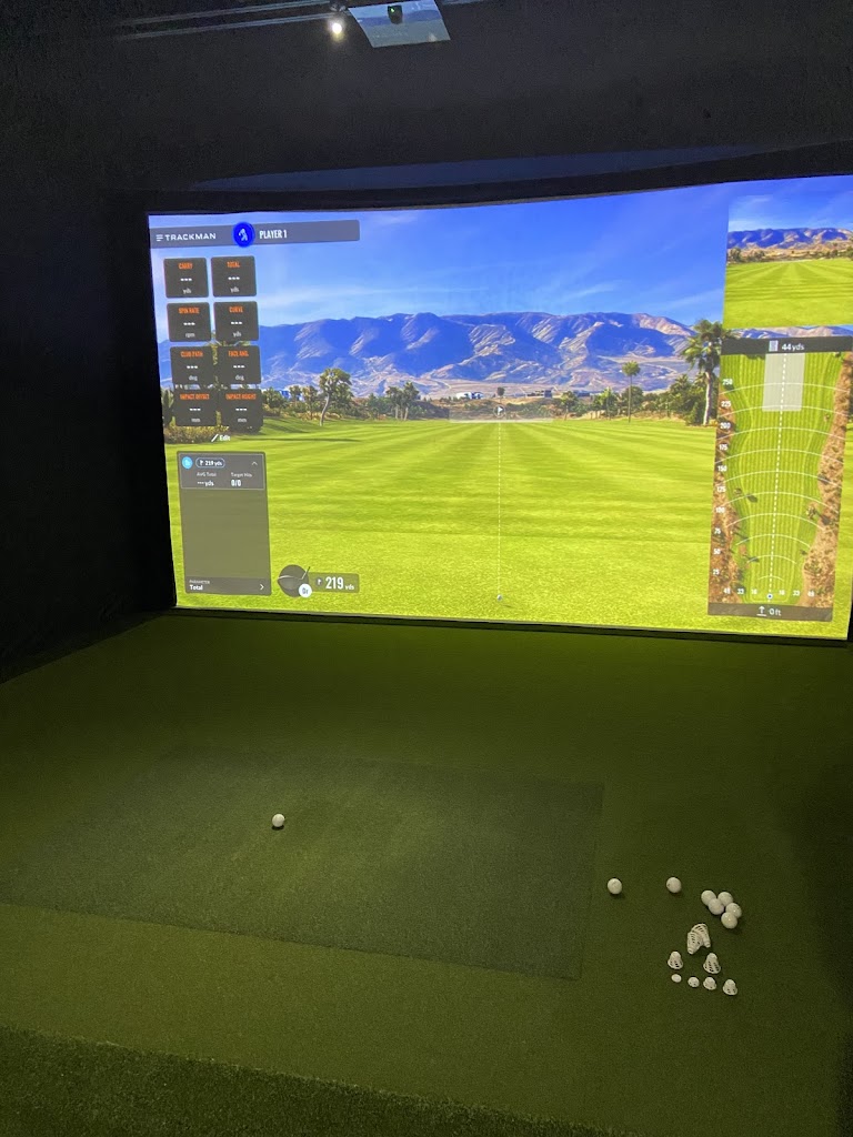Swing Central Golf Club - review