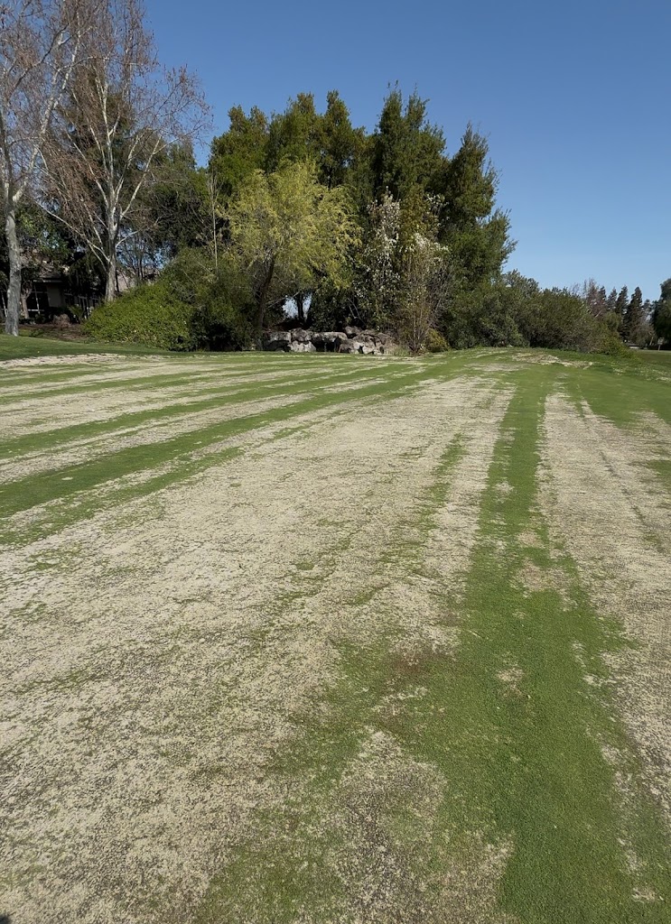 Palm Tree Golf and Event Center - review