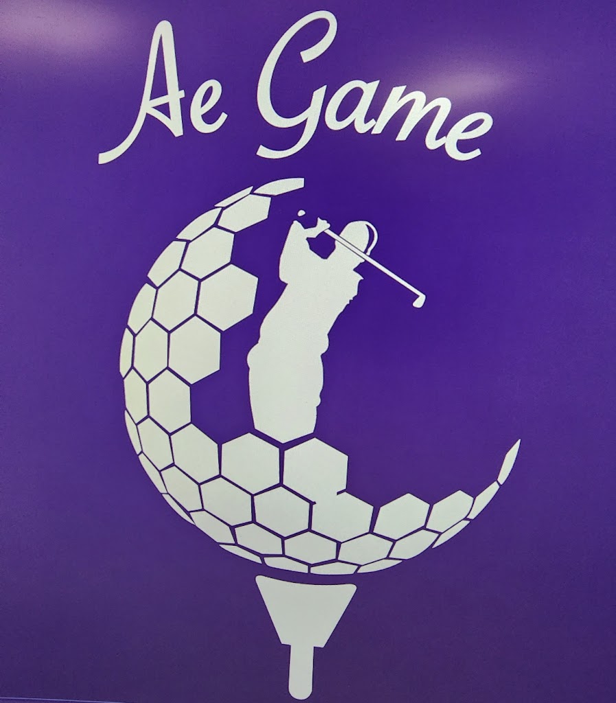 Ae Game Golf - review