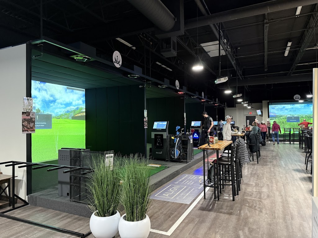Lakeville Links Indoor Golf - review